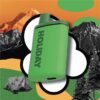HAPPY CAMPER – Holiday Disposable Vape