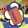 LEISURE – Holiday Disposable Vape